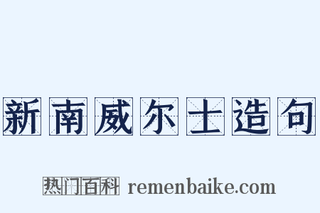 新南威尔士造句是什么意思的图片
